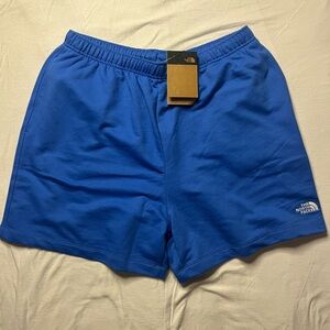 The North Face Shorts